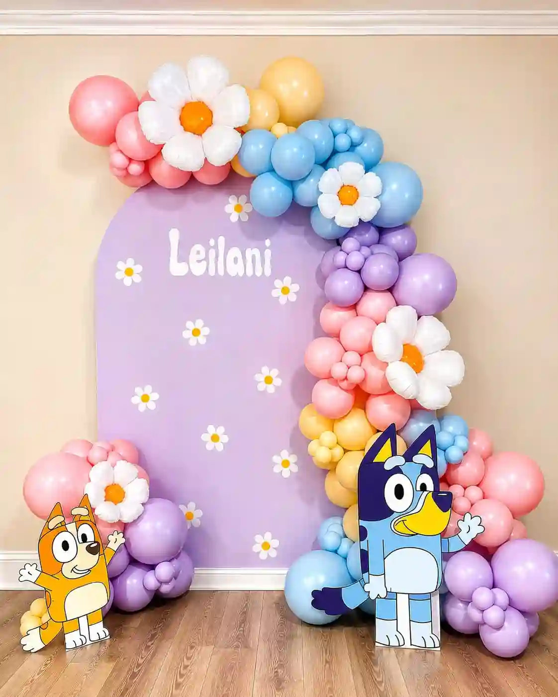 Bluey Backdrop Decoration